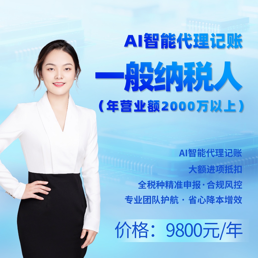 一般纳税人(年营业收入2000万以上)